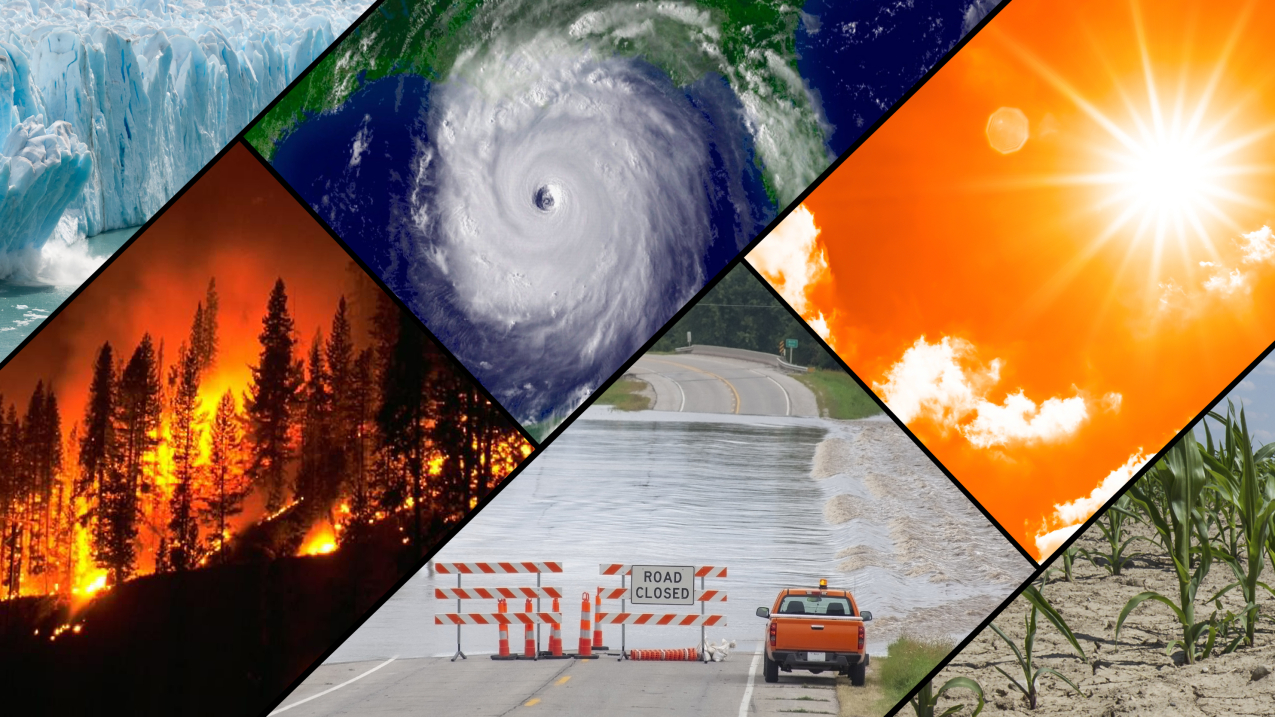 Must-Watch Documentaries on Climate Change